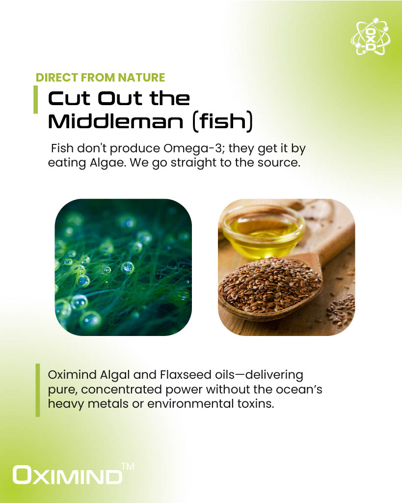 Oximind Veg Omega 3 image 3